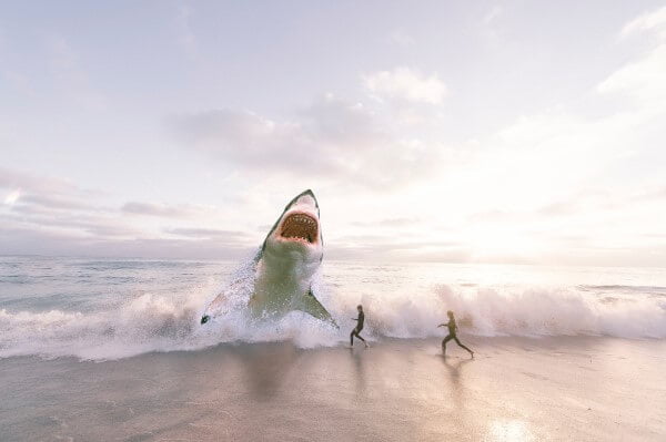Surfing in Portugal is not dangerous for beginner surfers